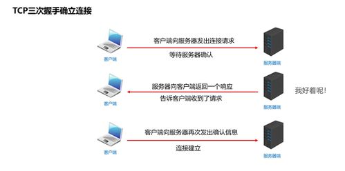 深入理解網絡通信三要素 IP、端口、協議及其在信息安全軟件開發中的關鍵作用
